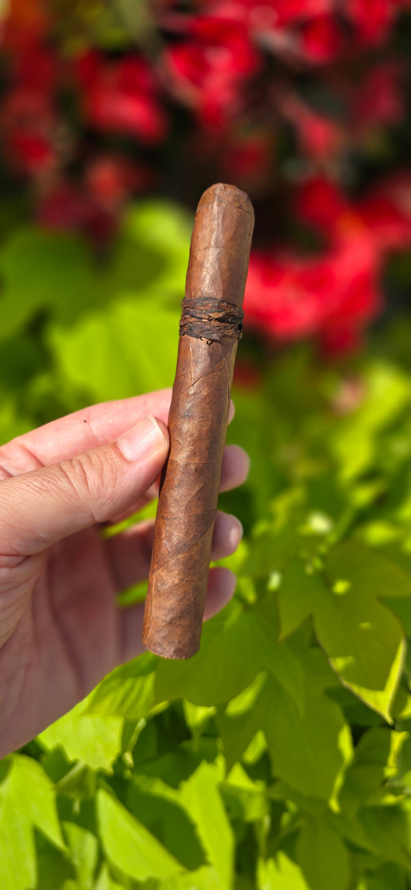 CAO Amazon Basin Extra Anejo Toro 2026