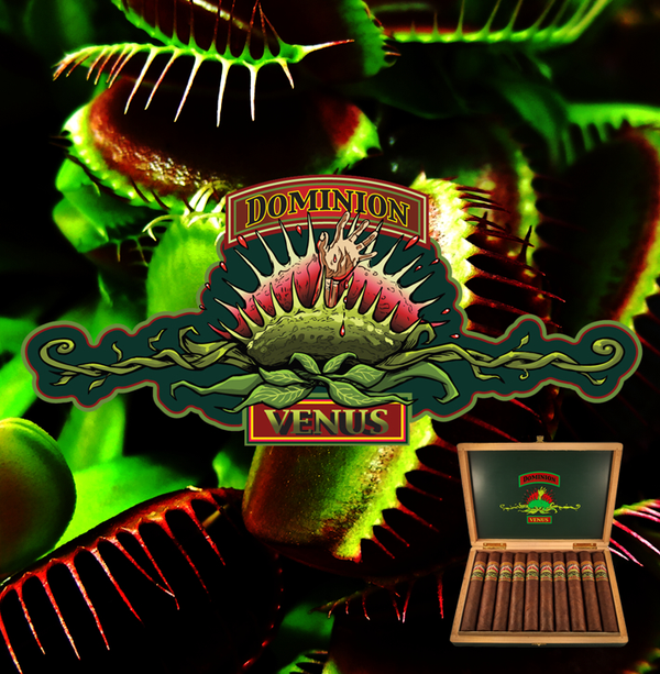 Dominion Venus 7"x 70 - TSC Inc. Dominion Cigar Cigar